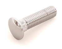 BUMPER CARRIER BOLT